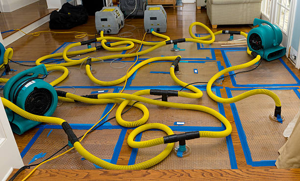 Professional Crawl Space Water Removal technician working in National City, CA